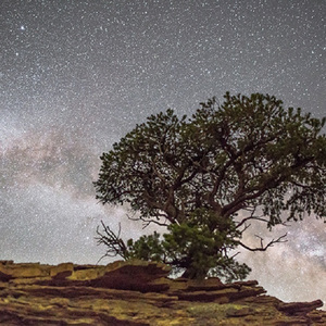 国产精产国品tv在线看
